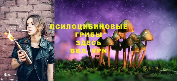 тгк Белокуриха