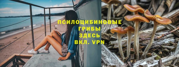тгк Белокуриха