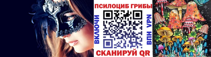 Галлюциногенные грибы Psilocybine cubensis  Губкинский 