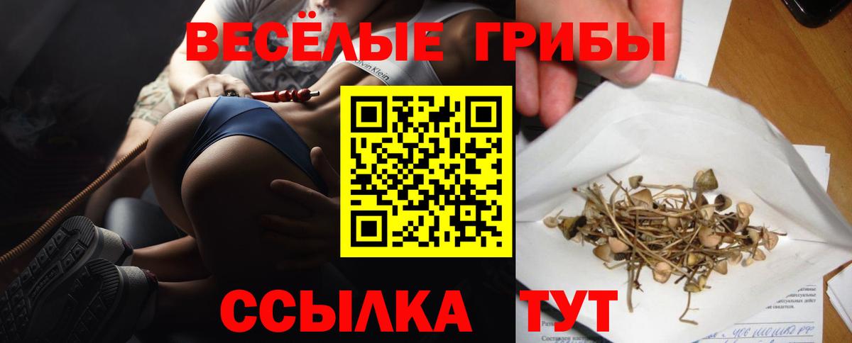 Псилоцибиновые грибы Psilocybe Губкинский